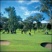 Commercial Albury Golf Club